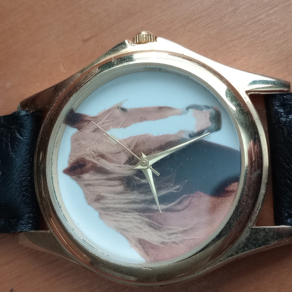 Horse Watch